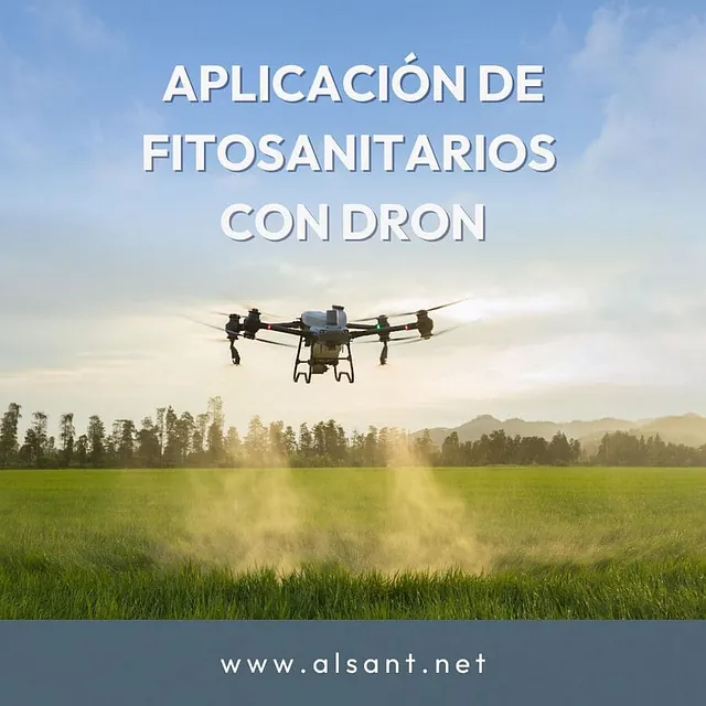 Alsant trabajos que se ofrecen