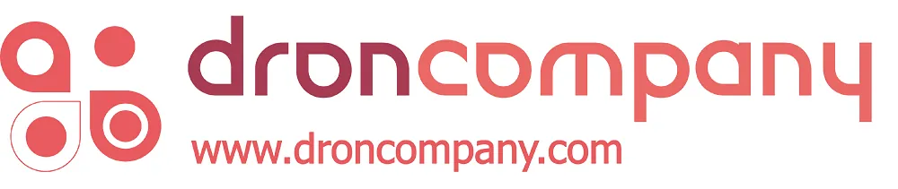 Logo dron company